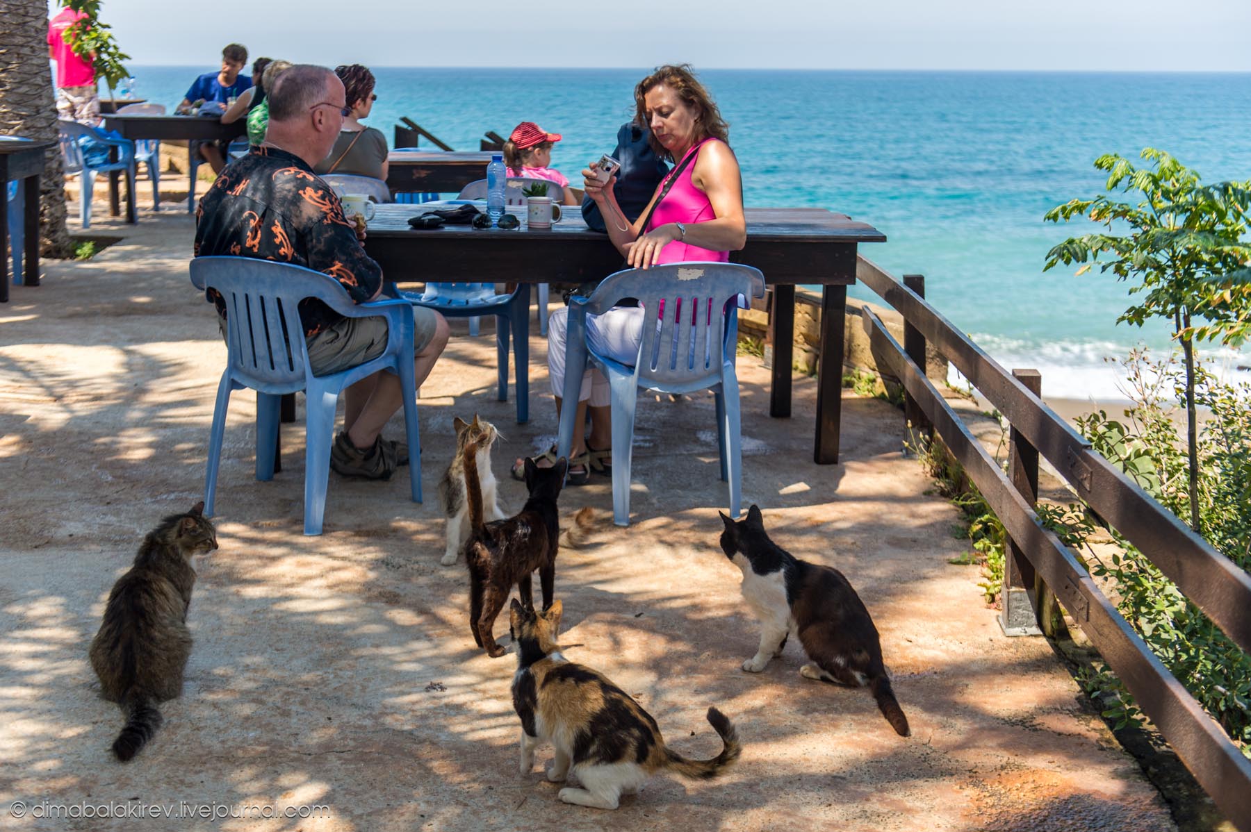 Paphos